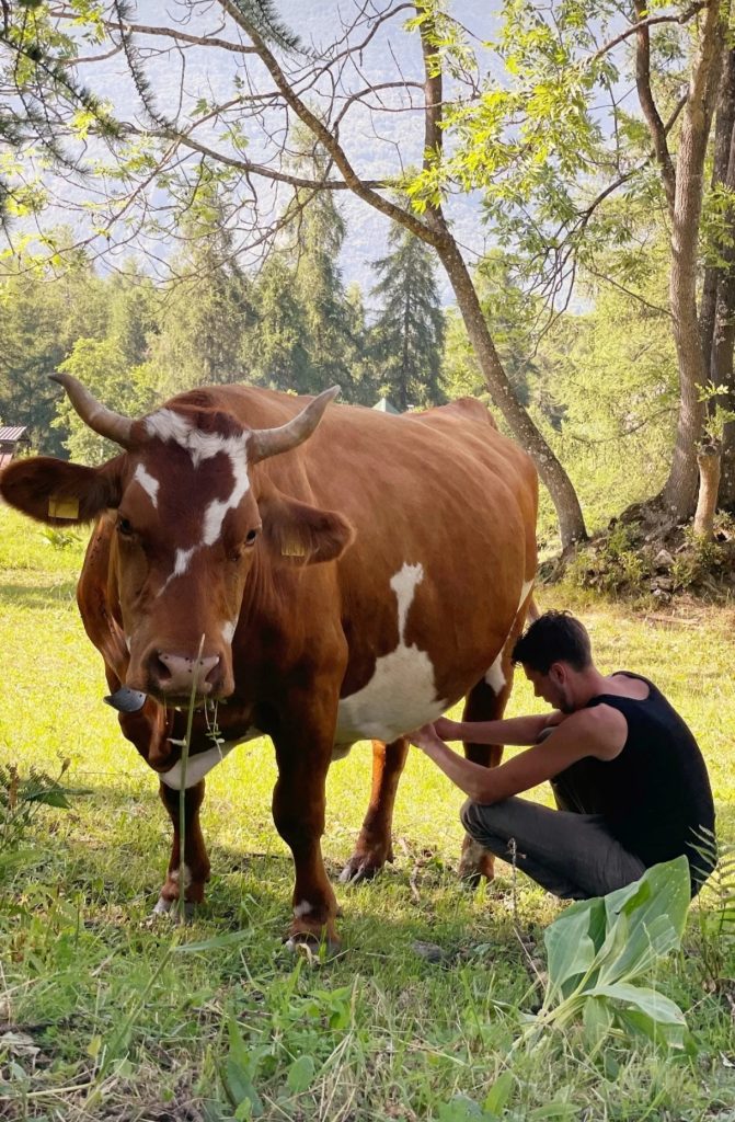 Produzione propria di miele in Val di Susa